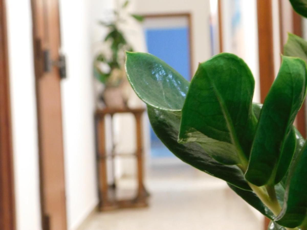 Frankie'S House B&B Catania Luaran gambar